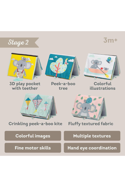 Libro tela caballete etapas