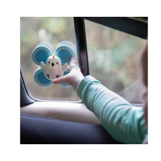 Conjunto 3 Spinners con ventosa