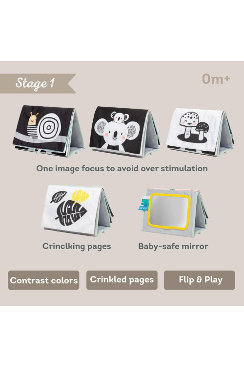 Libro tela caballete etapas