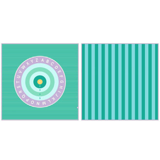 Toalla XL Microfibra Bullseye / Name it
