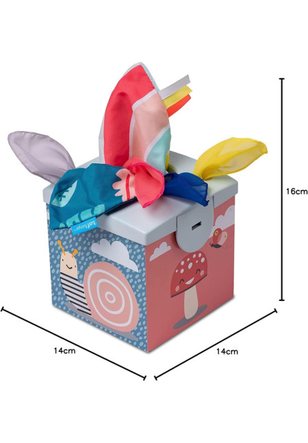 Caja de pañuelos