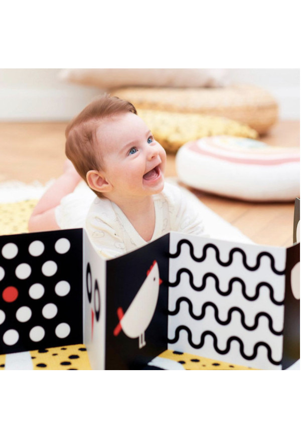Baby pack: Tarjetas y libro acordeón Alto Contraste