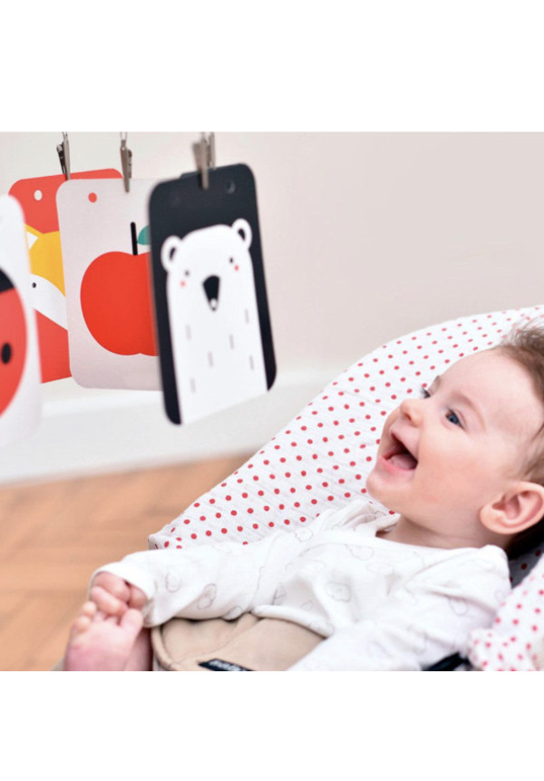 Baby pack: Tarjetas y libro acordeón Alto Contraste