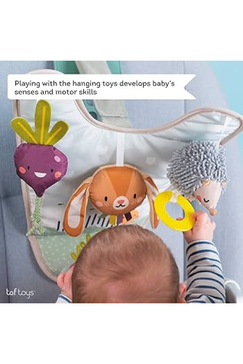 Centro de actividades para el coche - Conejo