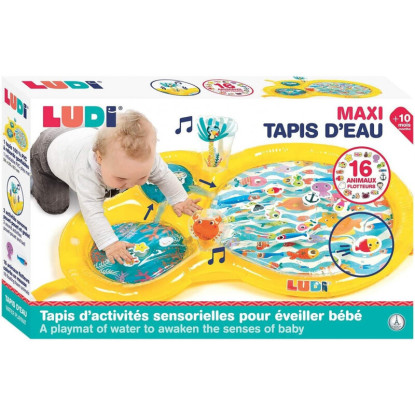 Área sensorial agua