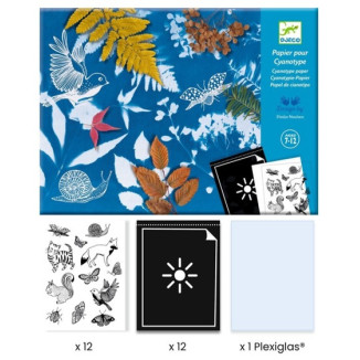 Papel cianotipia