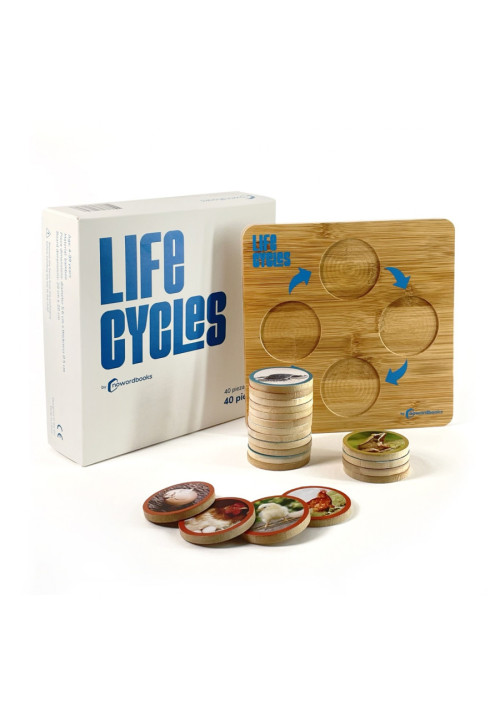 Ciclos de vida piezas madera