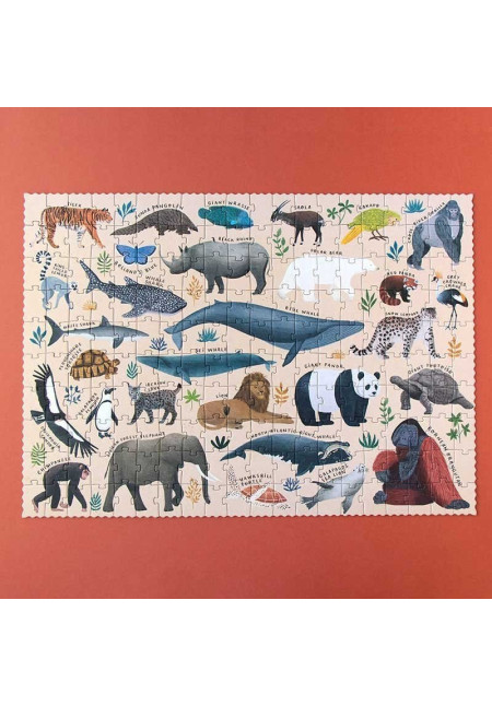 Life - Concienciación del medio ambiente - Londji