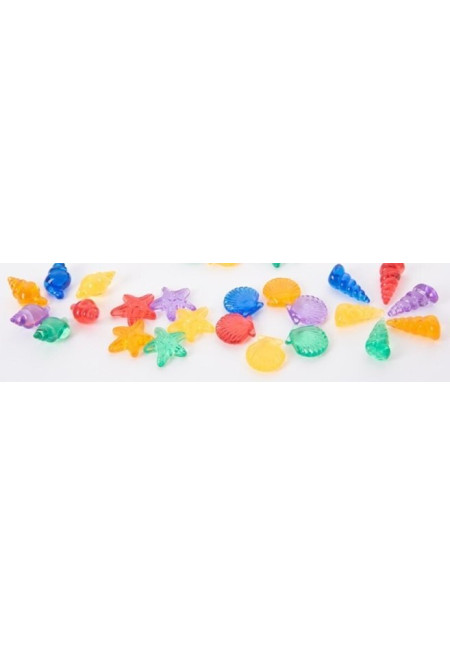 Set 24 piezas conchas traslúcidas