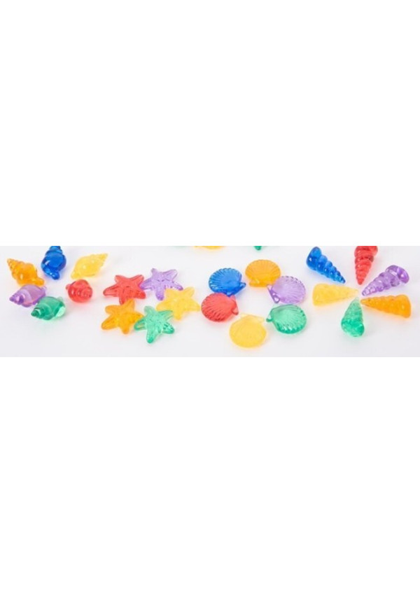 Set 24 piezas conchas traslúcidas