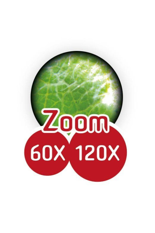 Microscopio de bolsillo - Buki