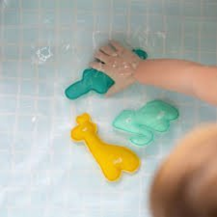 Animales de buceo- Safari