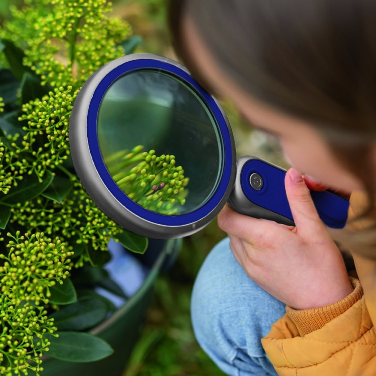 Lupa Profesional aum10x con luz