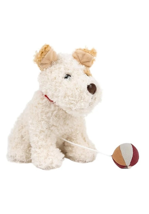 Elliot Perro Musical -  Egmont