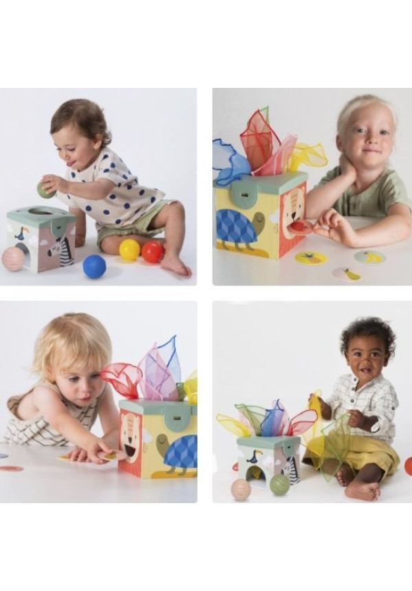 Magic Box - Taf Toys