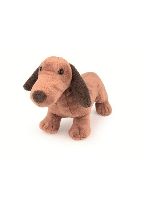 Edward Perro Salchicha - Egmont