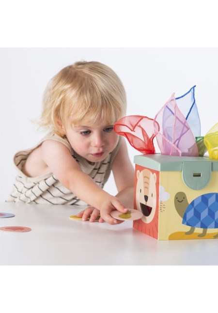 Magic Box - Taf Toys
