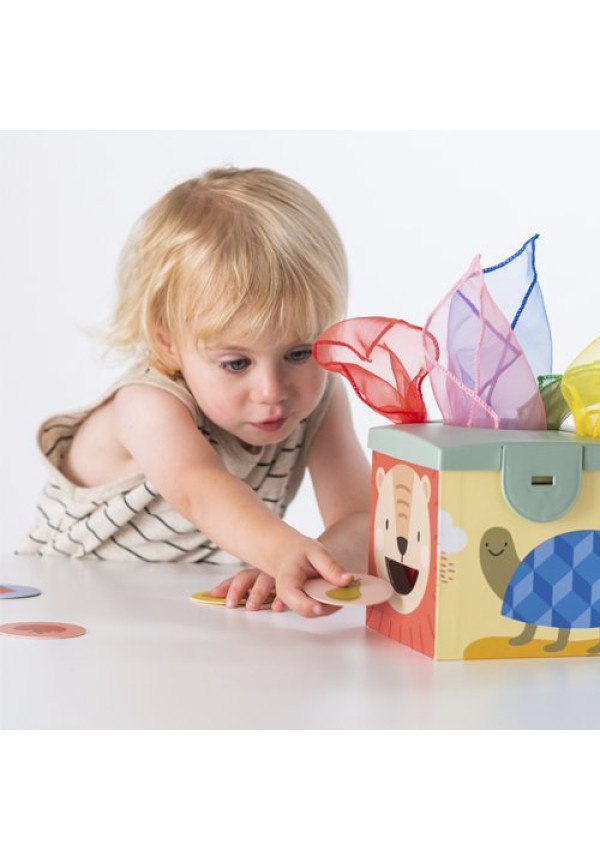 Magic Box - Taf Toys