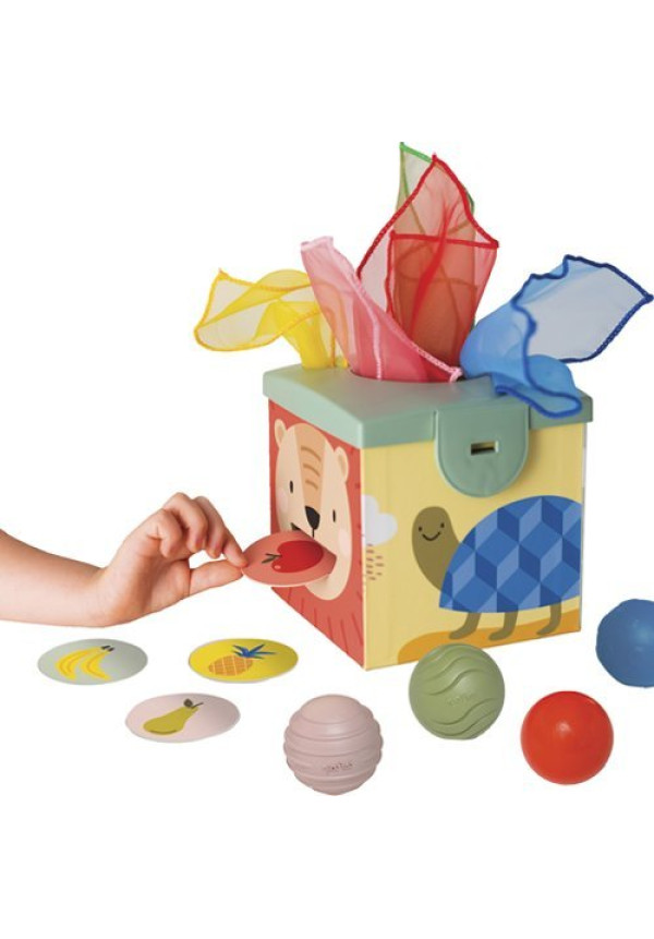 Magic Box - Taf Toys