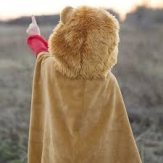 Capa Felpa León con capucha +18meses