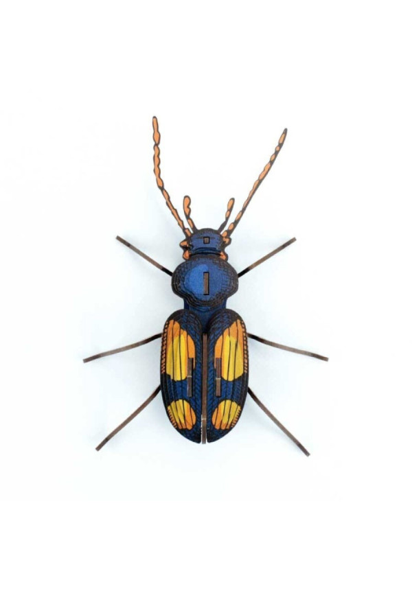 Maqueta 3D Insecto